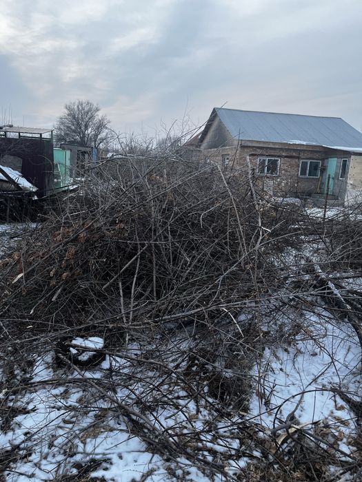 Отын тегін беоем