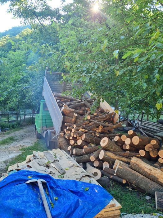 Lemn foc fag judetul hd calan 1500 lei