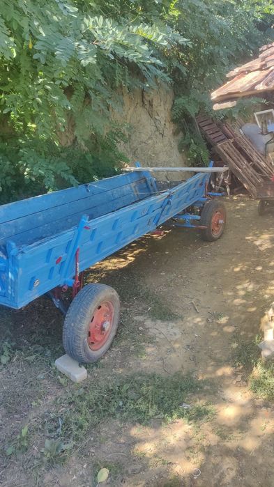 vind cărută de cai
