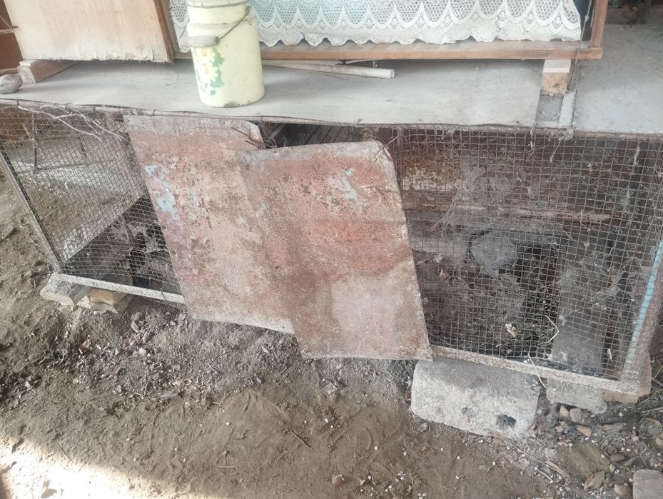 Parranda uchun qafas