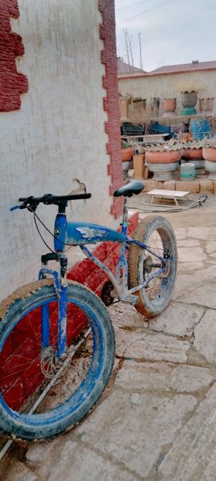 Велик сатам бағасы 75000мың