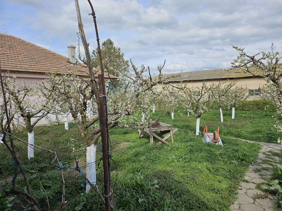 Ferma de vanzare sau la schimb cu teren arabil, imobiliare