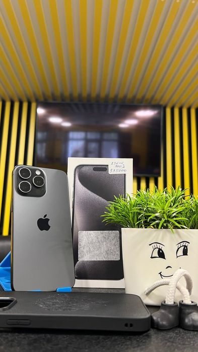 IPhone 15 Pro Max 256 GB 100%