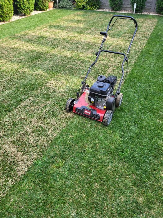 Întreținere gazon ( tuns , scarificare , îngrășământ )