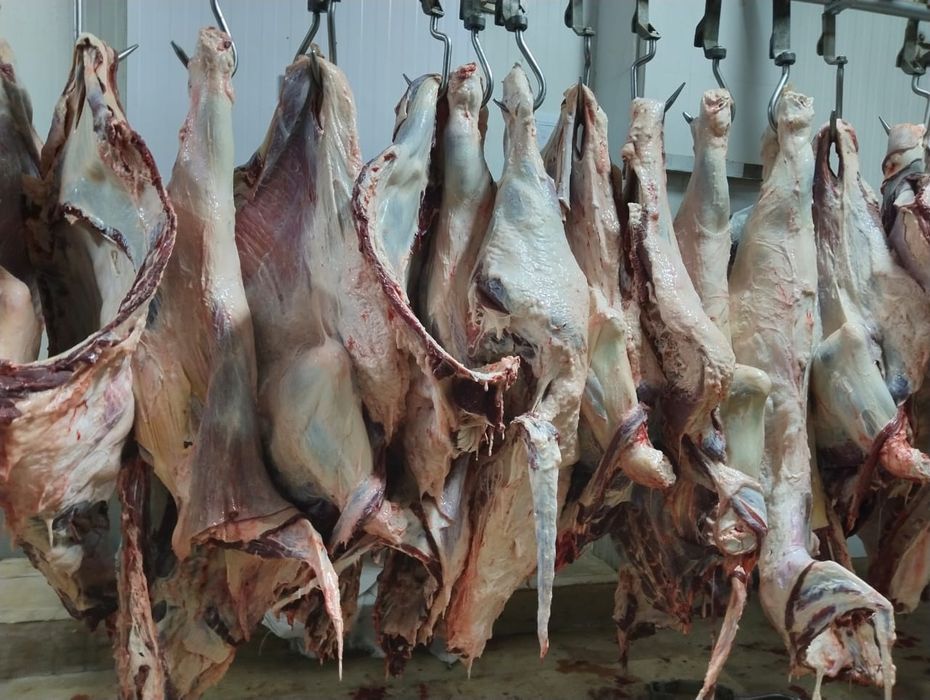 Goʻsht biznesiga investor kerak