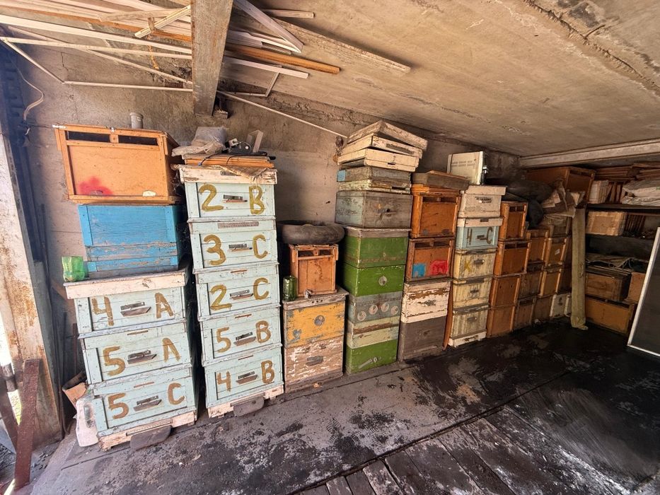 Пасека, прицеп, медогонка