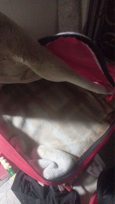 Одеяло для двуспальной кровати