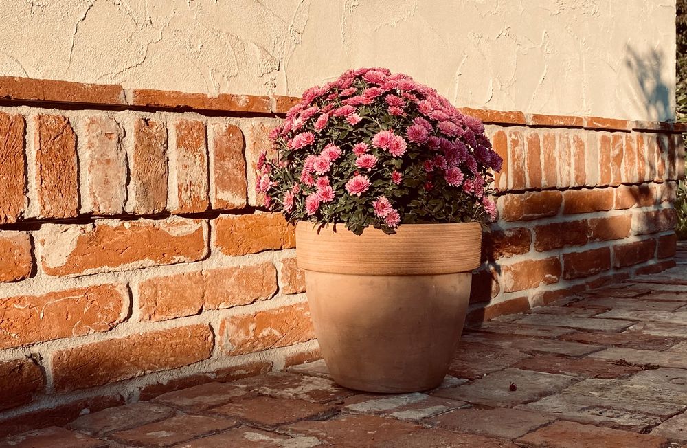 Caramida feliata rustica style