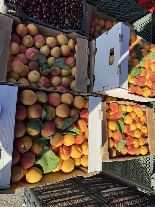 Натуральный сок”Өрік жемісі”