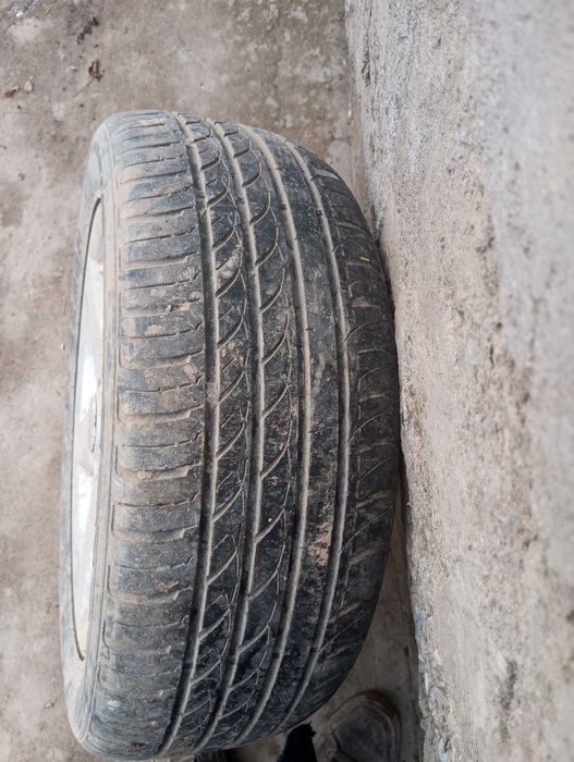 Saka diska perexadniklari b.n