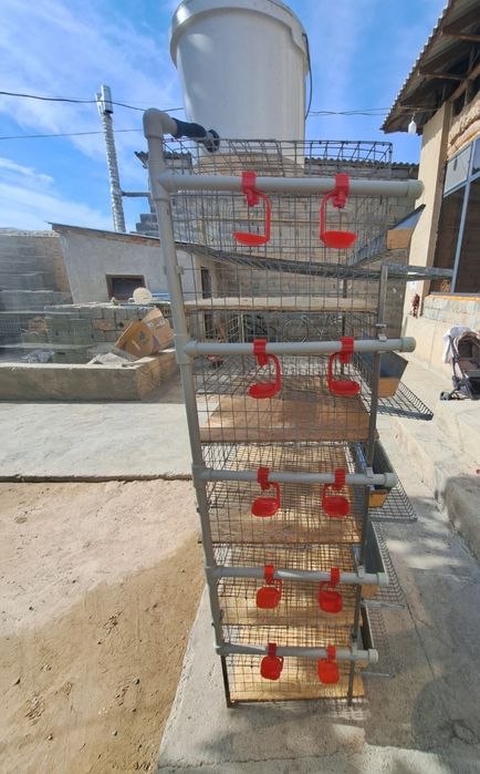 Клетка для перепелов