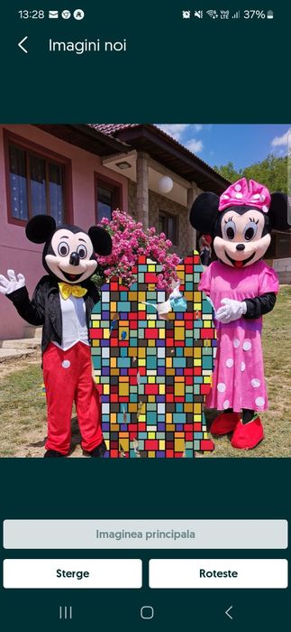 Închiriez costume Mikey, Minnie, Paw Patrol sau Winnie