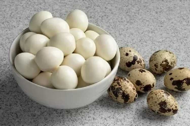 Домашние перепелиные яйца / Xonadon bedana tuxumlari