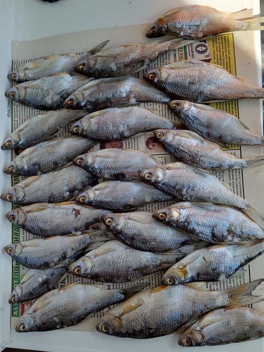 Вяленая рыба плотва