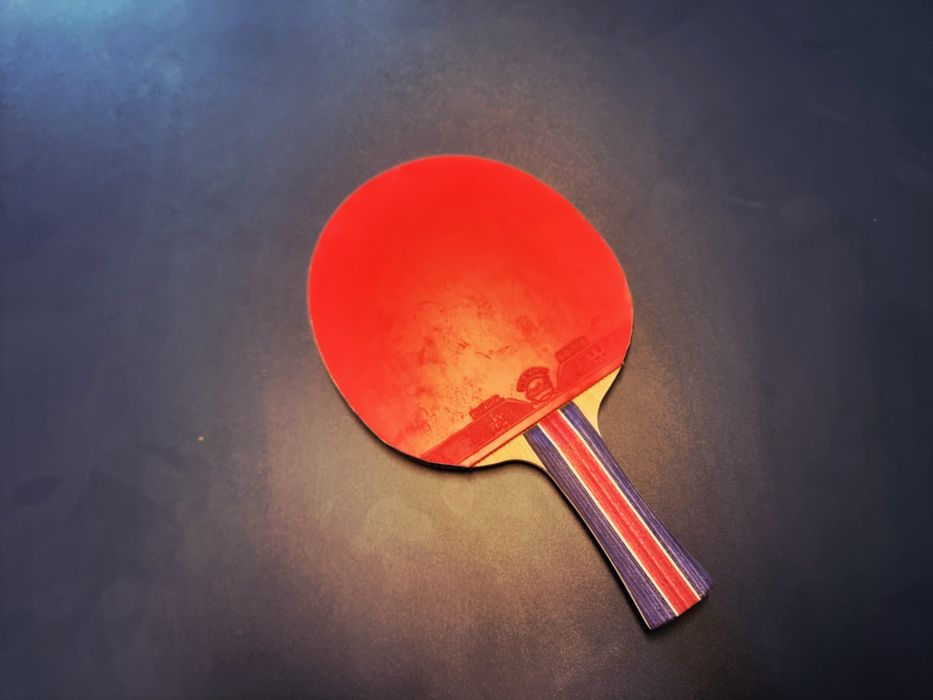 Paleta profesionala tenis de masa (booster)