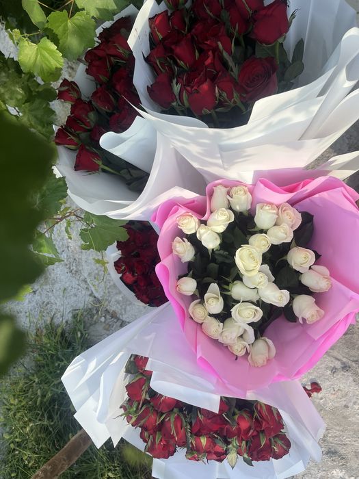 Роза букеты по 3-5к