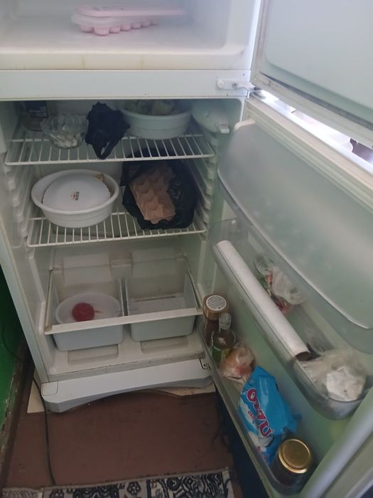 Xaladilnik yangiday turibdi