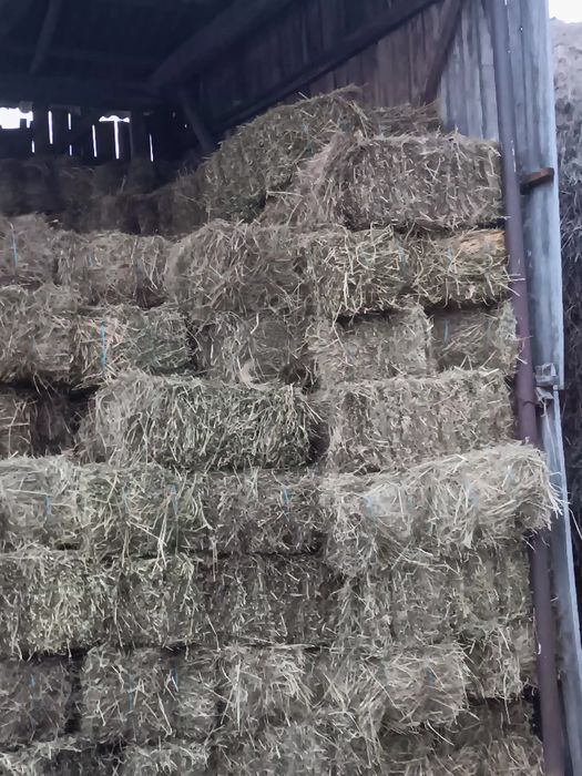 Cereale Furaje baloți