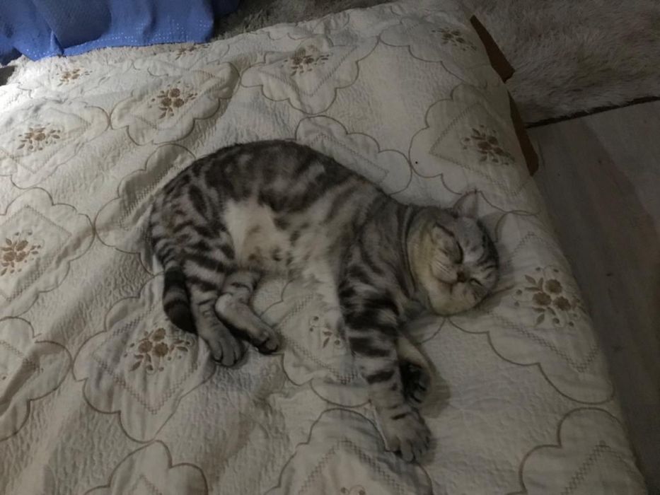 Жених ищет невесту