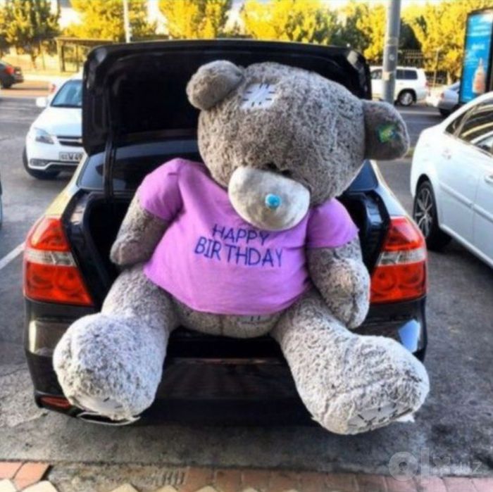 Teddy ayiqchalar Myaxkiy Ayiqchalar