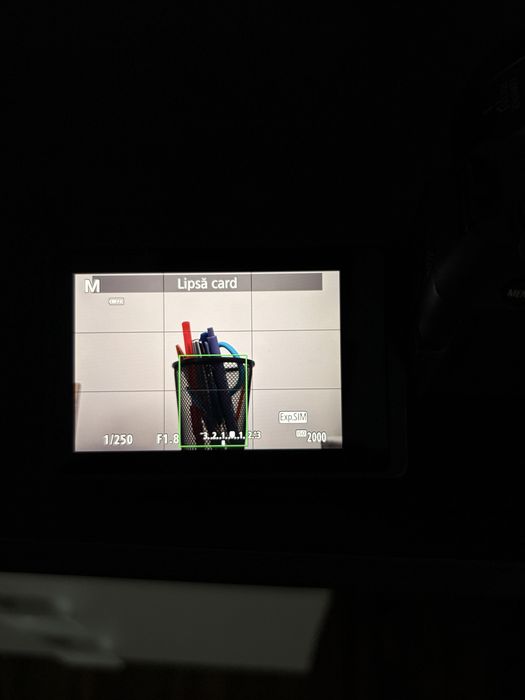 Canon EOS RP + Canon RF 50mm f/1.8 STM