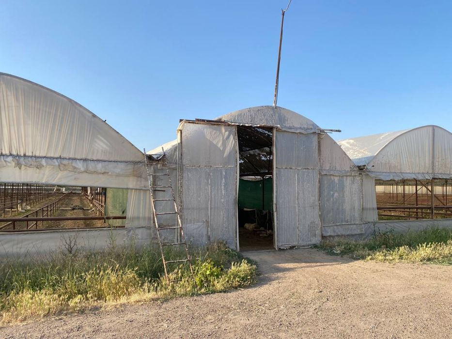 Issiqxona sotiladi, Продаётся теплица - готовый бизнес