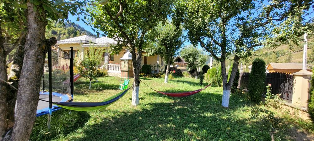 Vila Telec - Bicazu Ardelean - Regim Hotelier