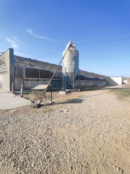 Срочно продается в Кибрае птица ферма 1,7 га готовый бизнес