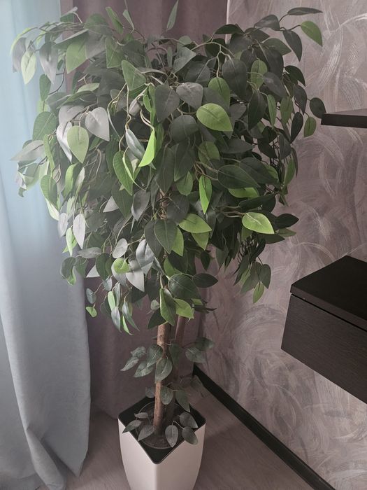 Дерево  декоративное ( искусственное))