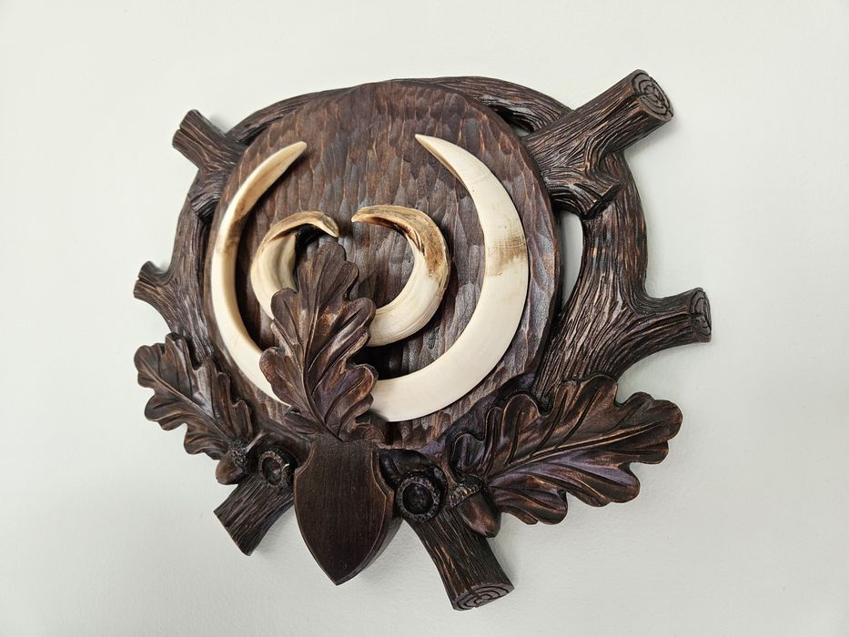 Трофей от диво прасе. Зъби. Глиган.