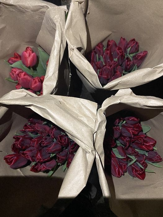 Тюльпаны голландские к празднику