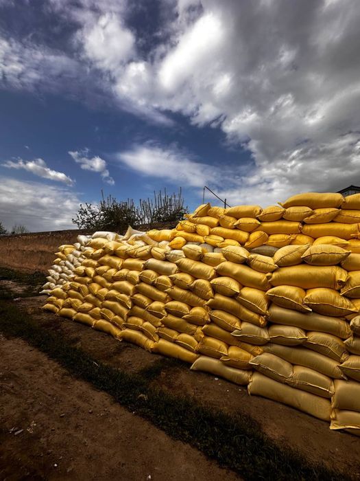 Apelka bor qancha kerak bolsa dastavka tekin qopi 20.000