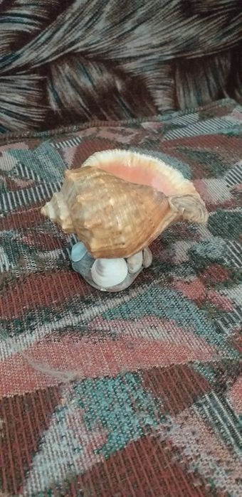 Продаю сувенир  из СССР