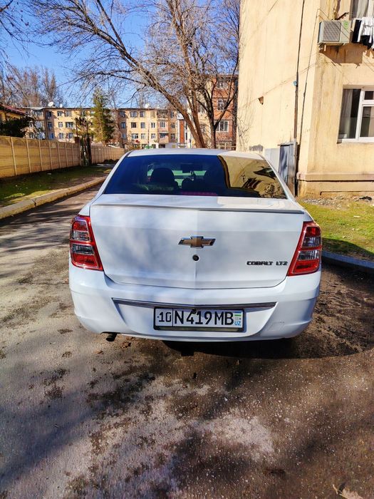 Cobolt 2020 Sroshna sotiladi