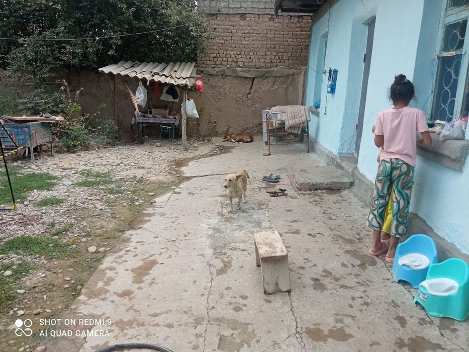 Продается 3 комнатный дом с большой земельной  площадью