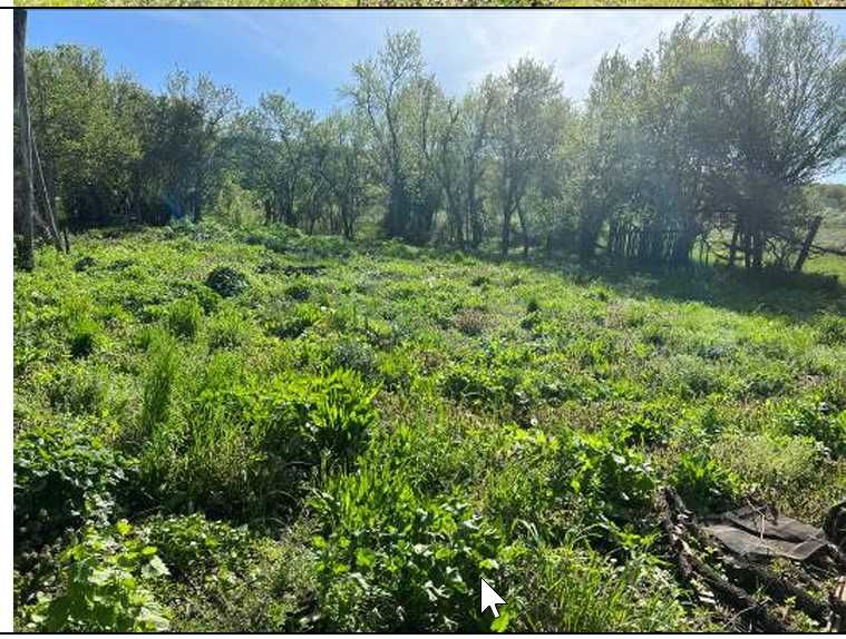 Teren  + casa de vanzare 6862 mp sat stroiesti comuna arcani gorj