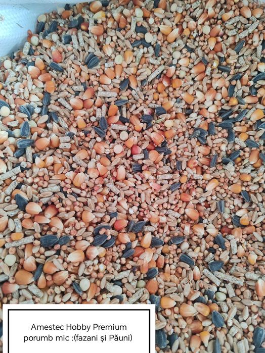 Hrana Porumbei,Turturele,Fazani,Potarnichi,Găini,Păuni,Rate,Pasari