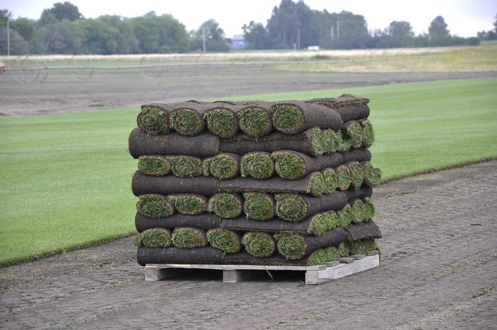 Gazon Rulou Sport Premium Natural