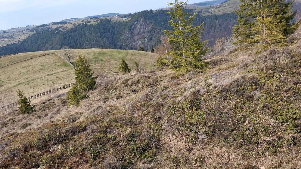 Vând teren superb în Măguri-Răcătău, situat într-o zonă de munte deosebită, perfectă pentru cabană, casă de vacanță sau investiție.