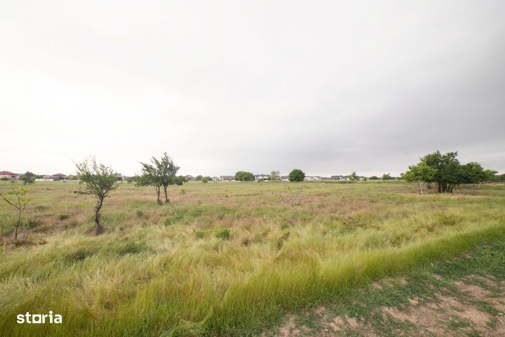 Lot teren 700 mp*Intravilan*Comuna Berceni*deschidere 17m