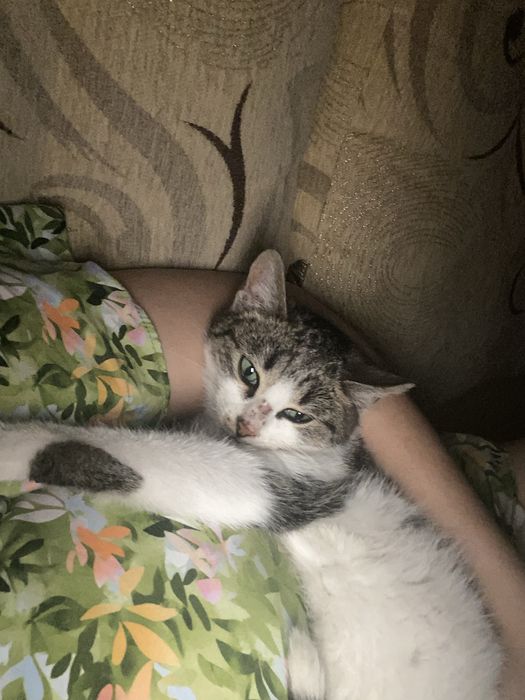 Отдадим в добрые ручки!!!