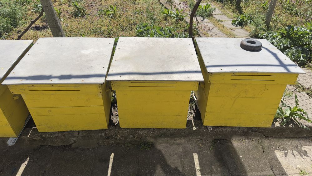 Кошери за пчели празни 6 бр.