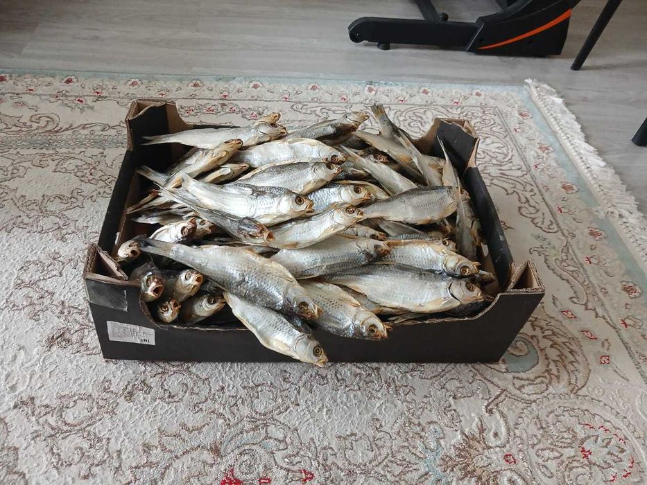 Продам сушеную воблу свежая