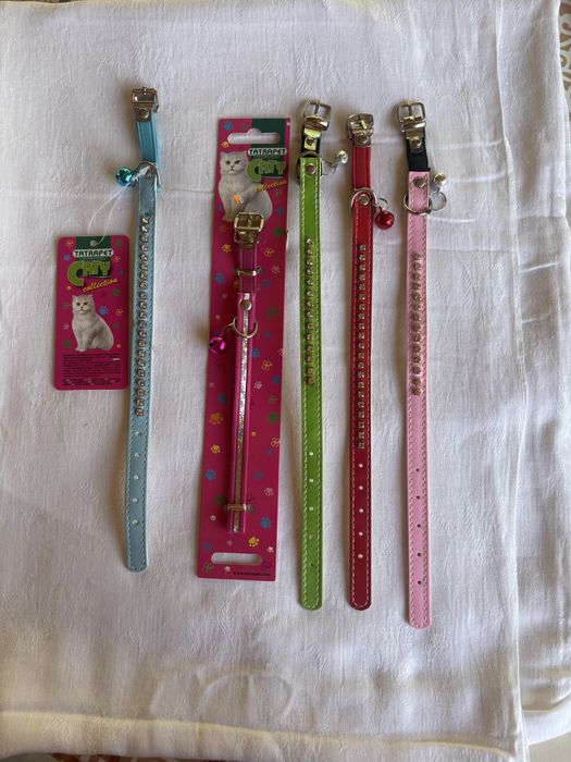 Accesorii pentru pisici