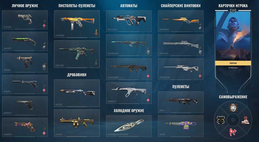 АККАУНТ VALORANT. Личный аккаунт