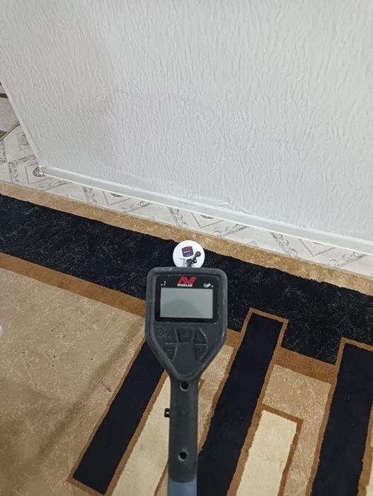 Minelab gold monster 1000