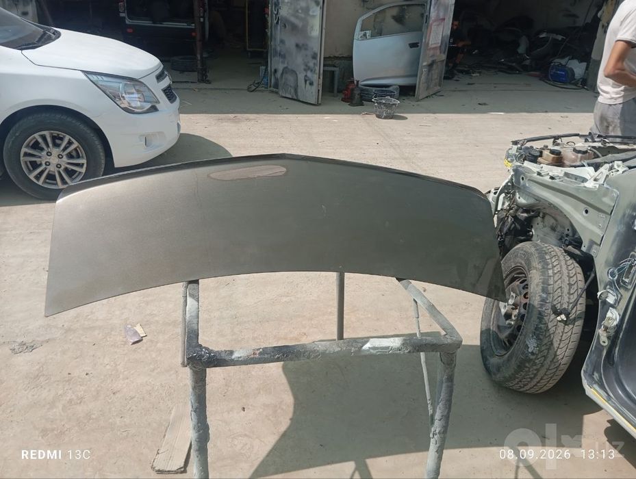 Kobalt orqa kapot zevs