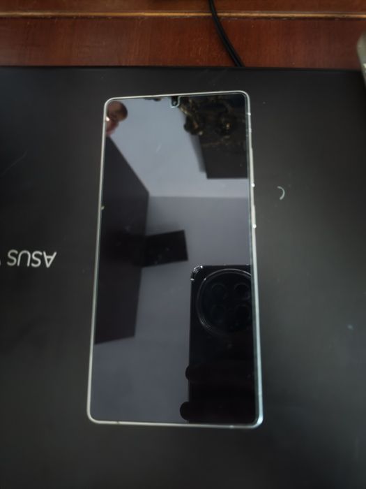 Samsung S 25 Ultra
