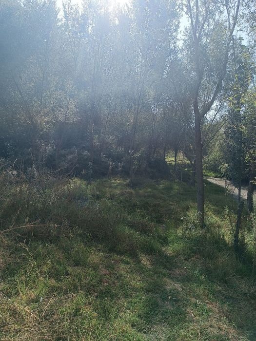 25 сутик участка,шлакоблок билан ураган,хужжатлари жойида.