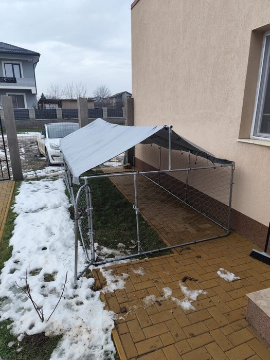 Padoc caine talie mare-600 lei